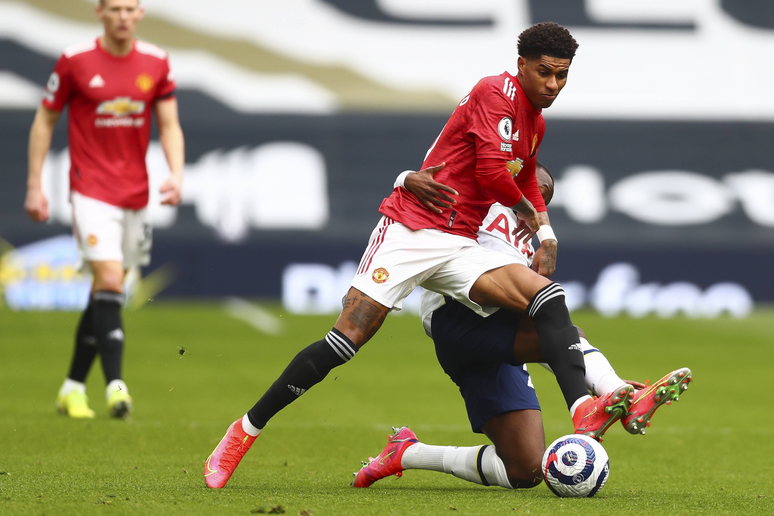 种成熟和理 种成熟和理